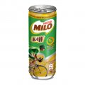 Milo Can Kaw (240ml x 24 cans)